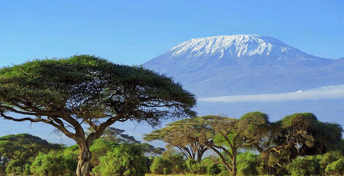 Kilimanjaro-v-Amboseli-byrdyak-37376343_xl